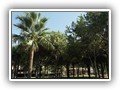 Club Turtaş (49)