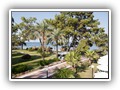 crystal_aura_beach (24)