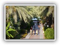 crystal_aura_beach (48)