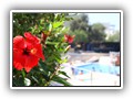 Crystal Bodrum (36)