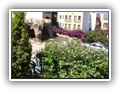 Crystal Bodrum (50)