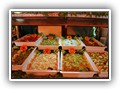 Crystal Bodrum (65)