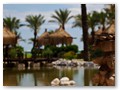 IC Hotels Green Palace (21)