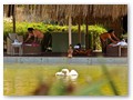IC Hotels Green Palace (27)