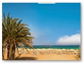 kaya_artemis_resort_kibris (25)