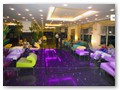 Kleopatra Royal Palm (6)