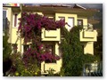 Leda Hotel (1)