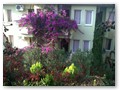 Leda Hotel (2)