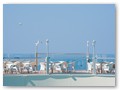 Orka Sun Life (5)
