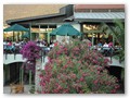 Patio Beach Club (44)