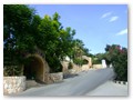 Riverside Garden (12)