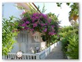 Riverside Garden (7)